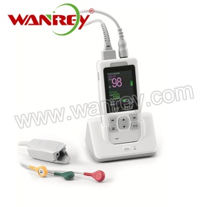 Handheld Monitor WR-MD018